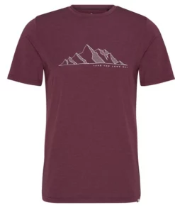 FRILUFTS BREA PRINTED T-SHIRT MĂ€nner - Funktionsshirt Fig